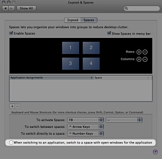 Screenshot of Spaces prefs panel in Mac OS X 10.5.3.