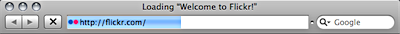 Screenshot of page load progress bar in Safari 3.
